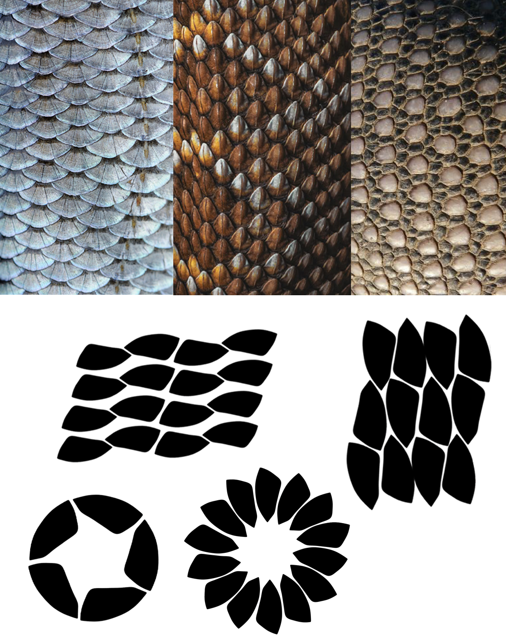 Render 3D NO_CAP, protezioni rimovibili in TPU espanso con struttura interna Gyroid — Design by Marco De Nicolò